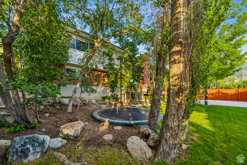 View of yard featuring a trampoline