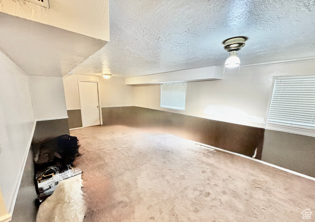 Bonus room with a textured ceiling and carpet flooring