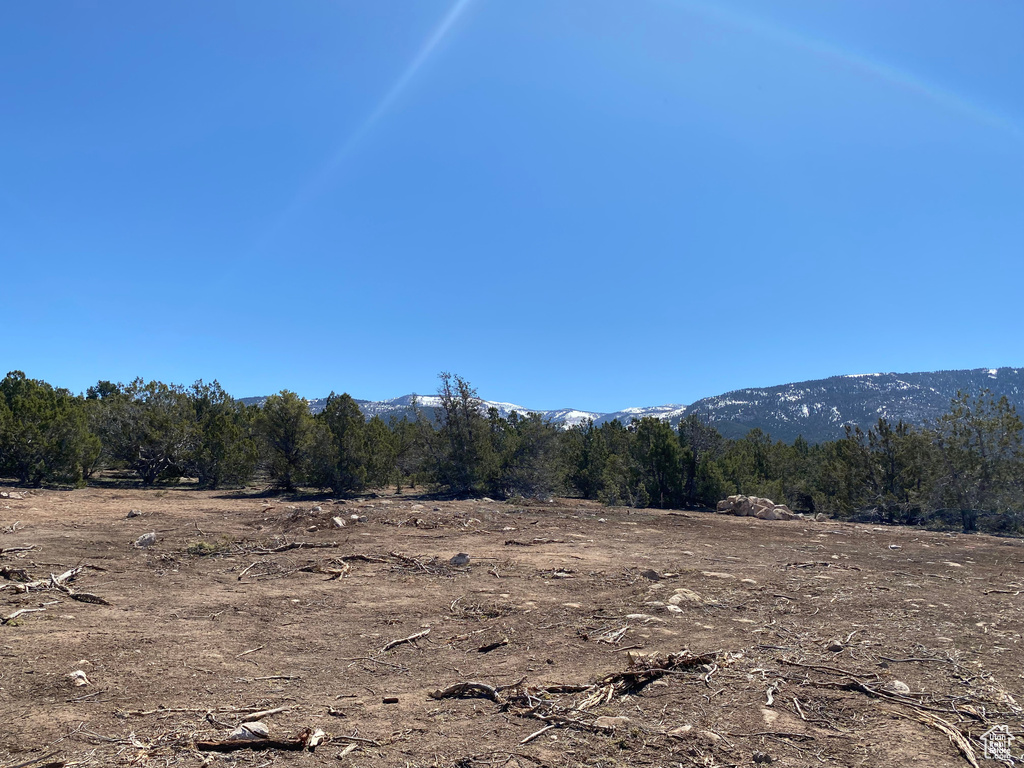 View of mountain backdrop featuring a forest and rural landscape