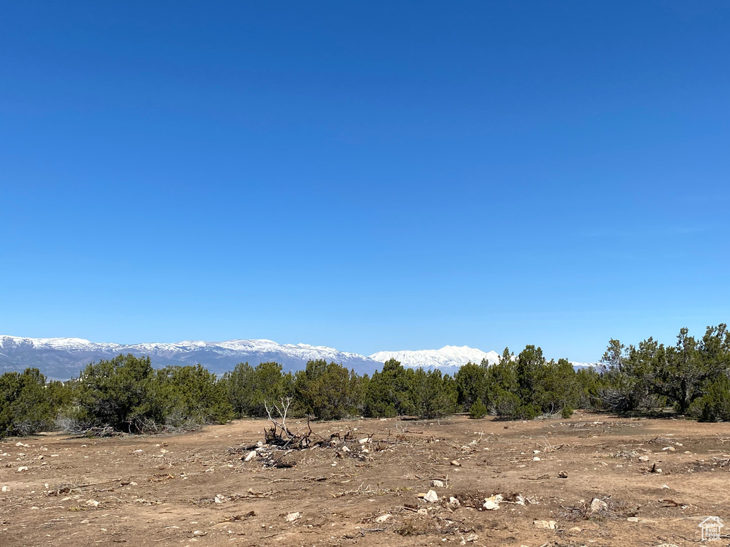 Mountain view with a heavily wooded area