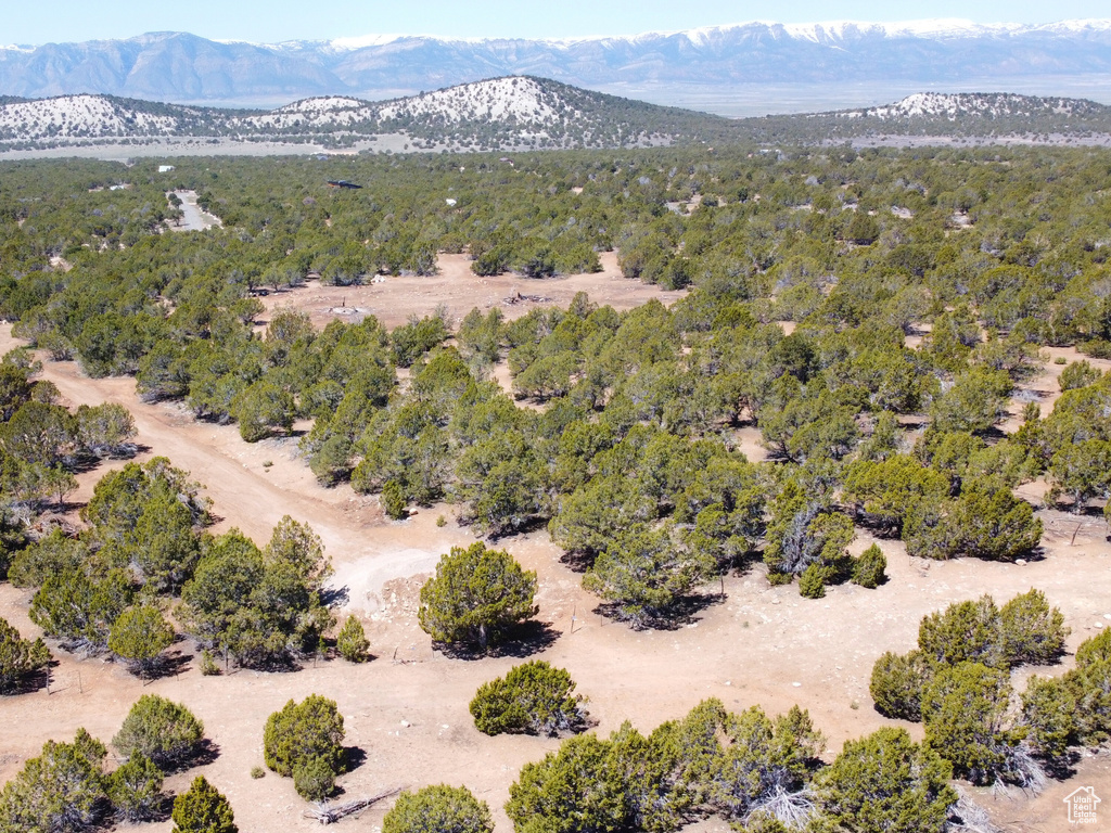 Drone / aerial view of a mountain backdrop