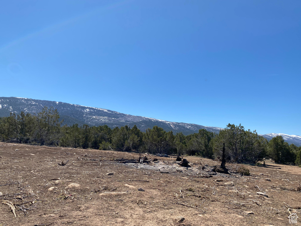 View of mountain backdrop featuring a forest and rural landscape