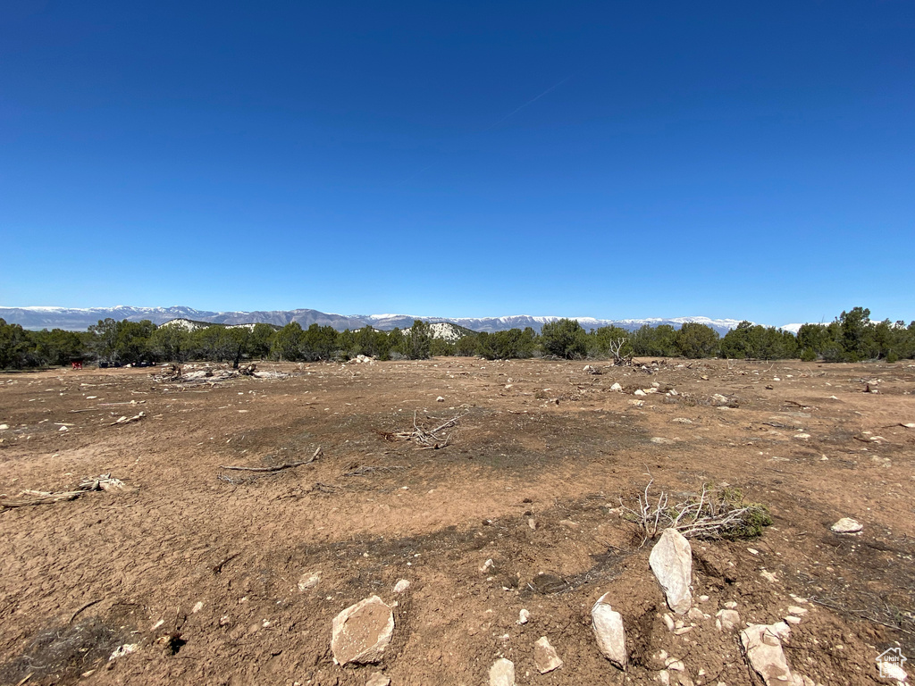 View of local wilderness featuring mountains