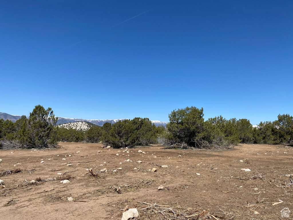 View of local wilderness featuring mountains