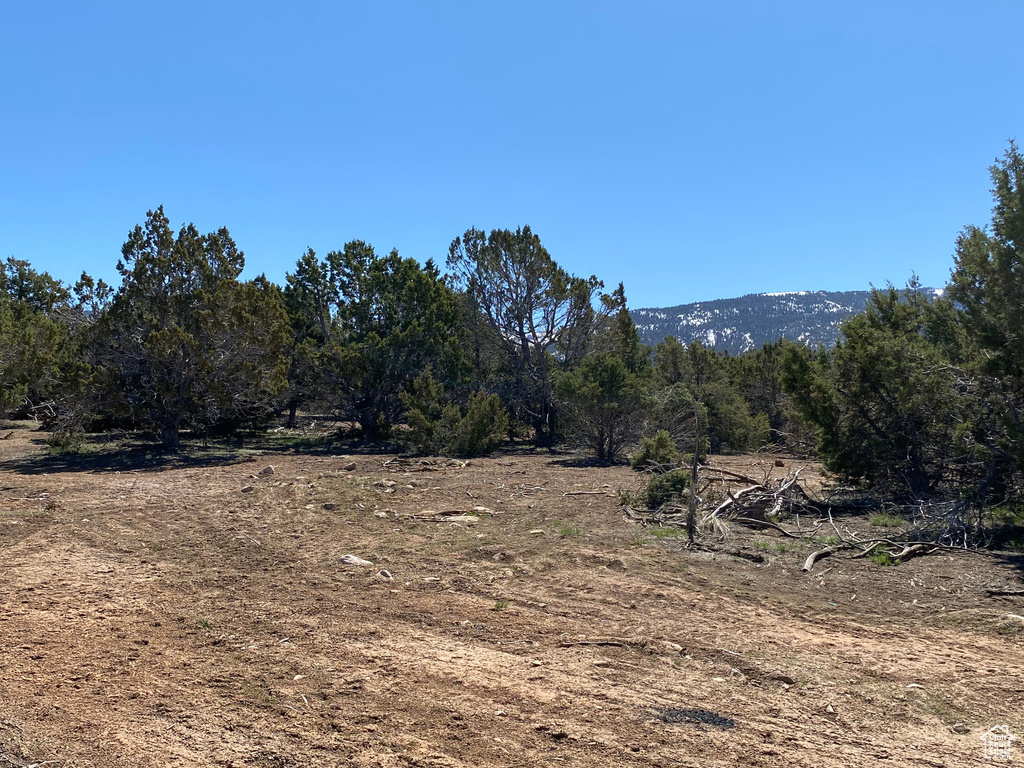 Mountain view