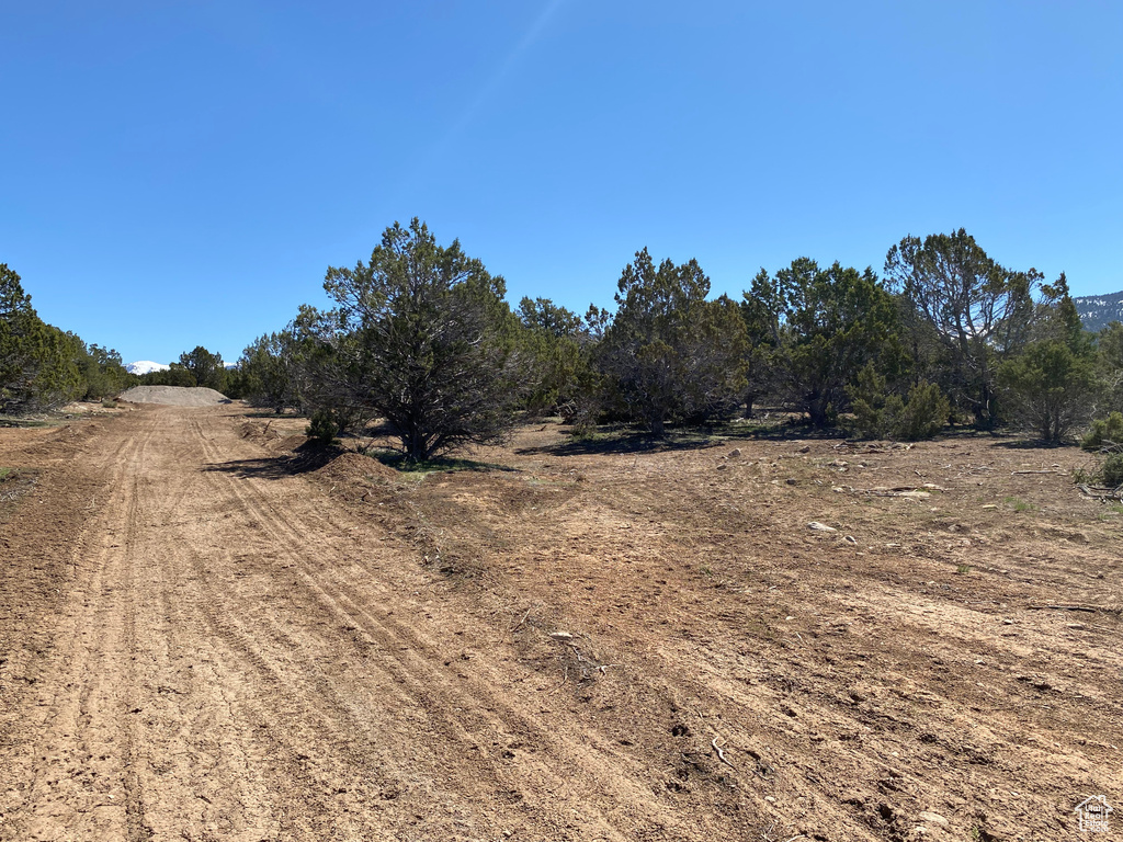 View of dirt / gravel road featuring a rural view