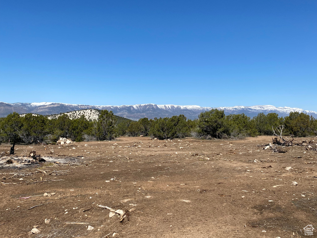Mountain view