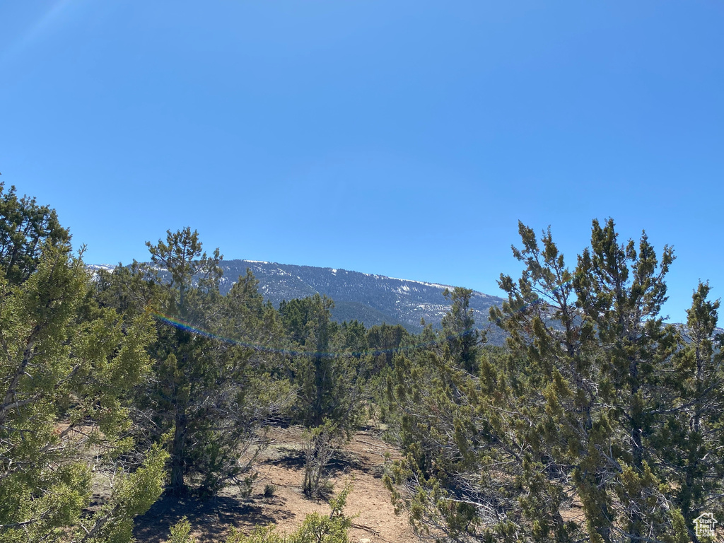 View of mountain backdrop with a forest