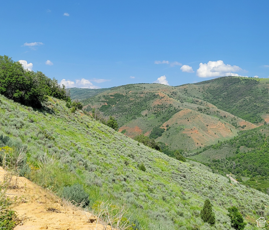 View of mountain background