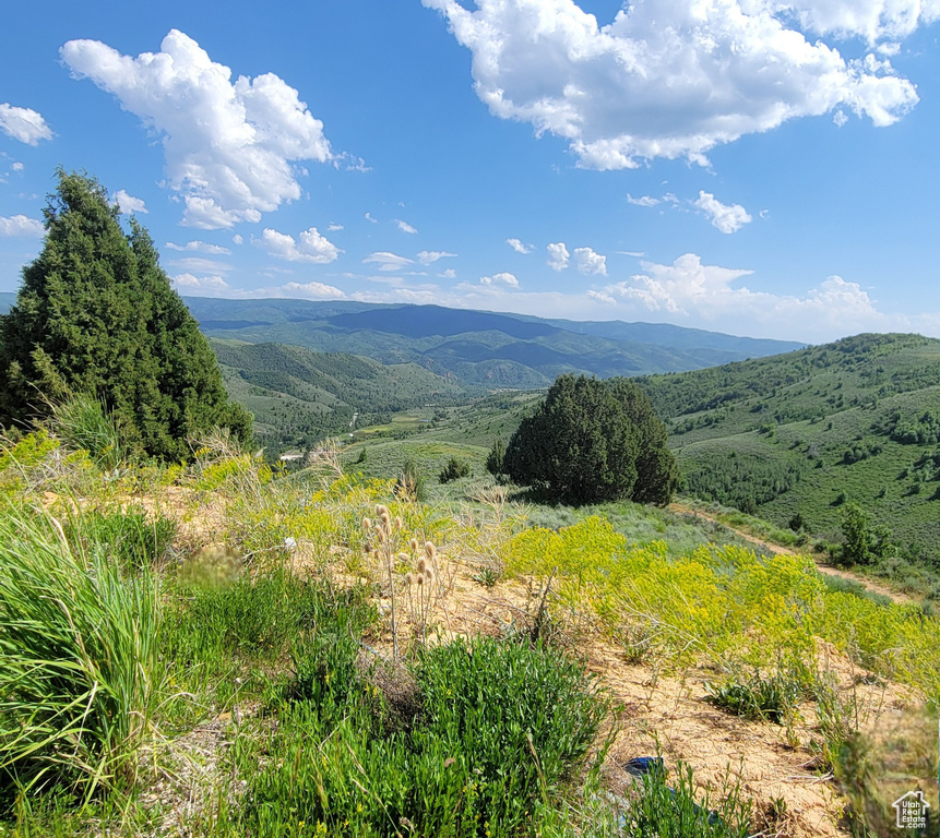 Mountain view