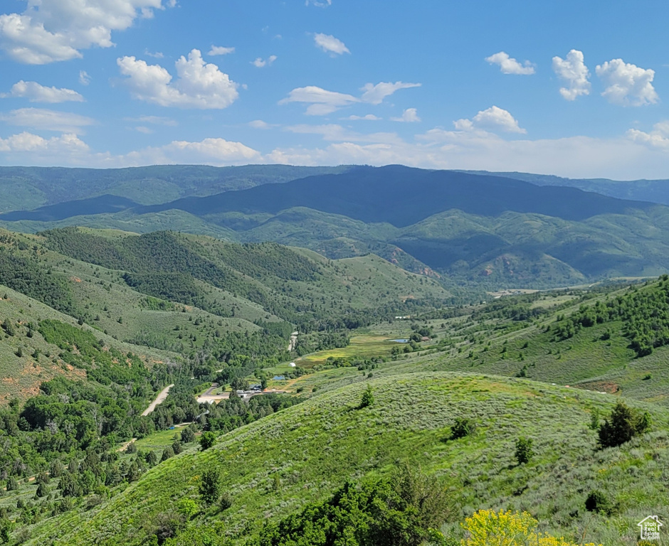 Mountain view
