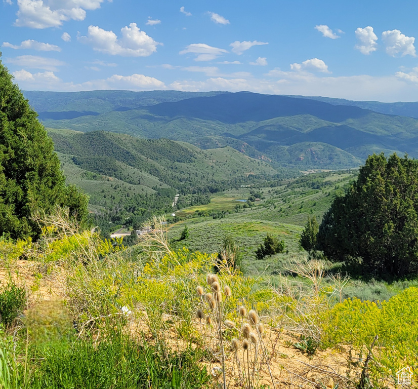 View of mountain backdrop