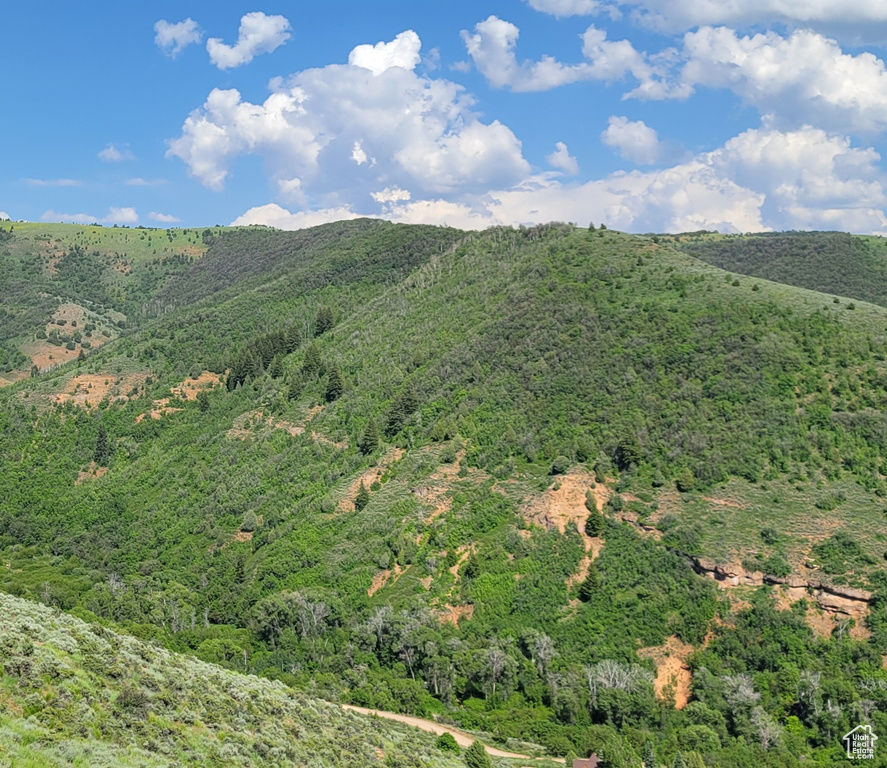 View of mountain background with a forest
