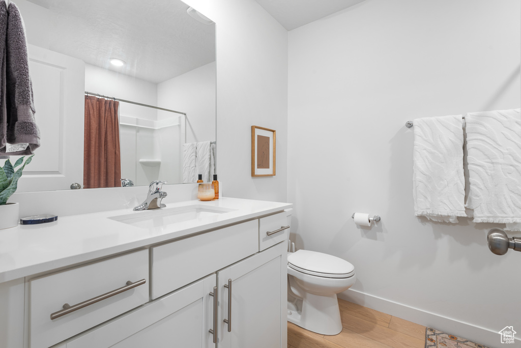 Bathroom featuring vanity, wood finished floors, and a shower with curtain