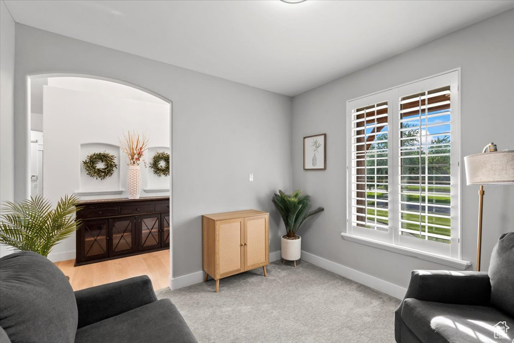 Living area featuring carpet and arched walkways