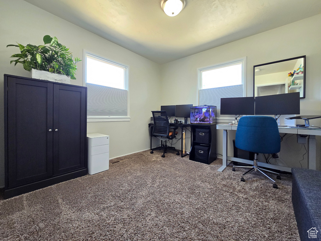 Home office featuring healthy amount of natural light and carpet flooring