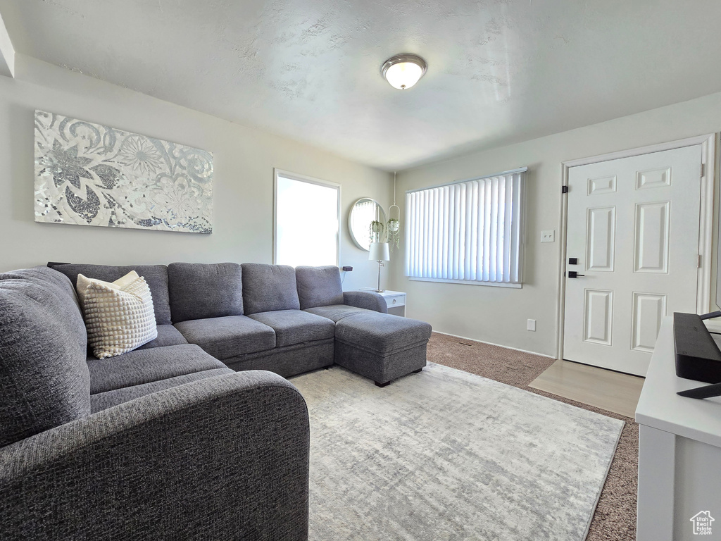 Living area with plenty of natural light and carpet floors