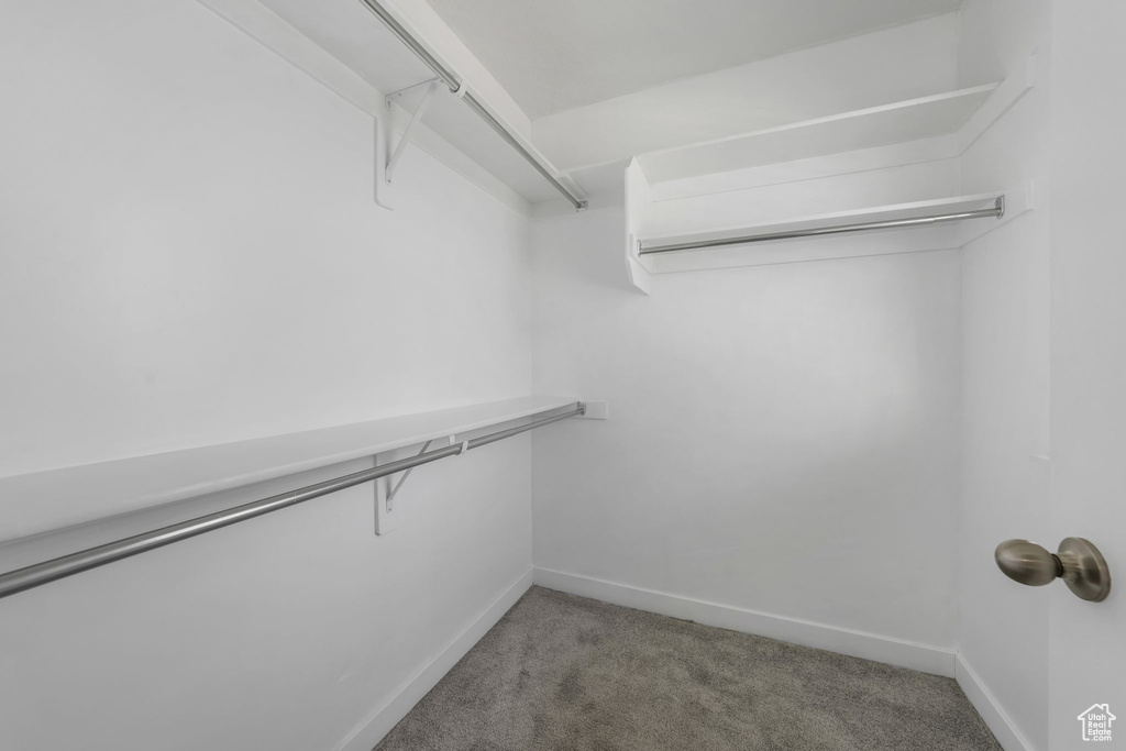 Spacious closet with carpet