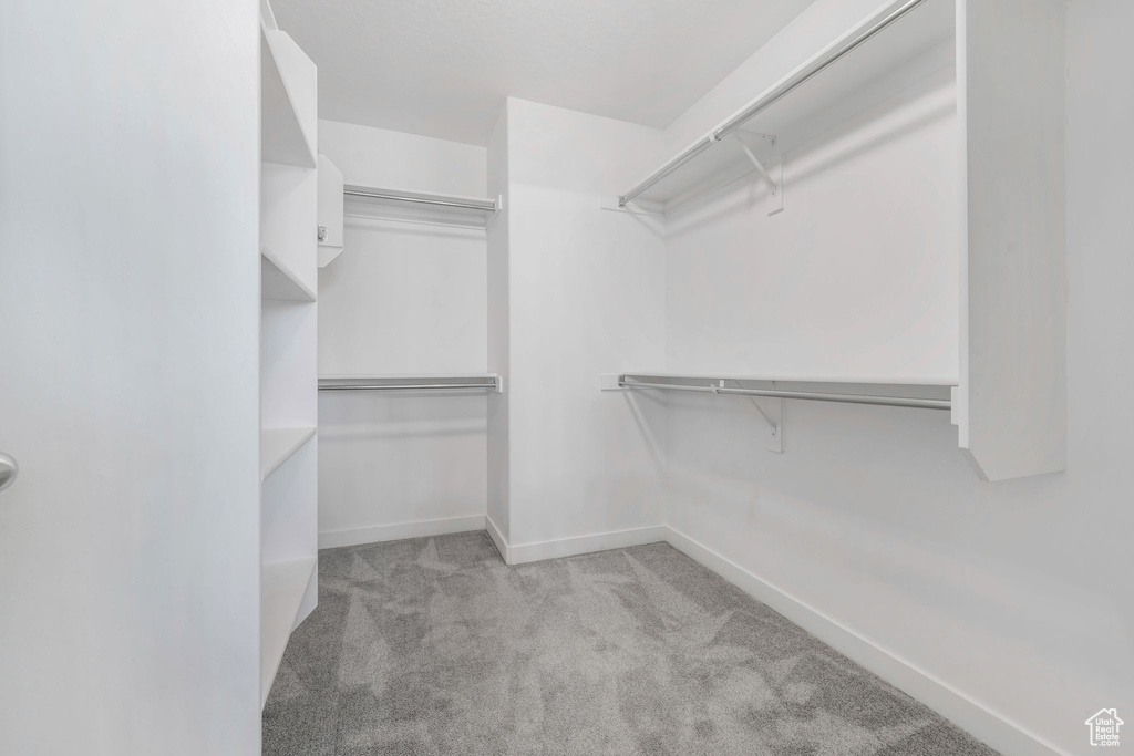 Spacious closet with carpet flooring