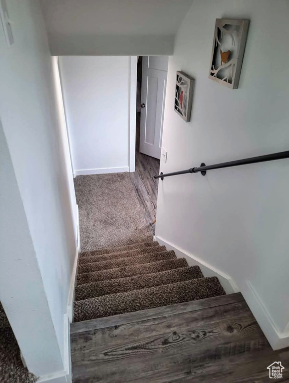 Staircase with baseboards and carpet floors