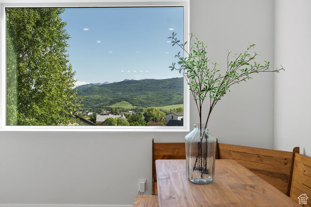 Mountain view