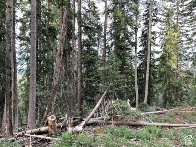 View of wooded area