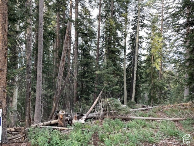 View of wooded area