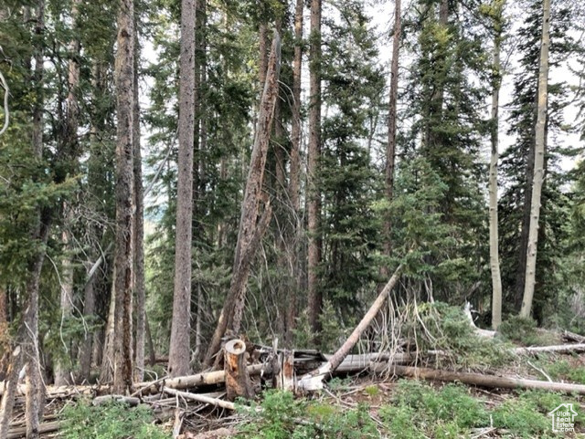 View of nature