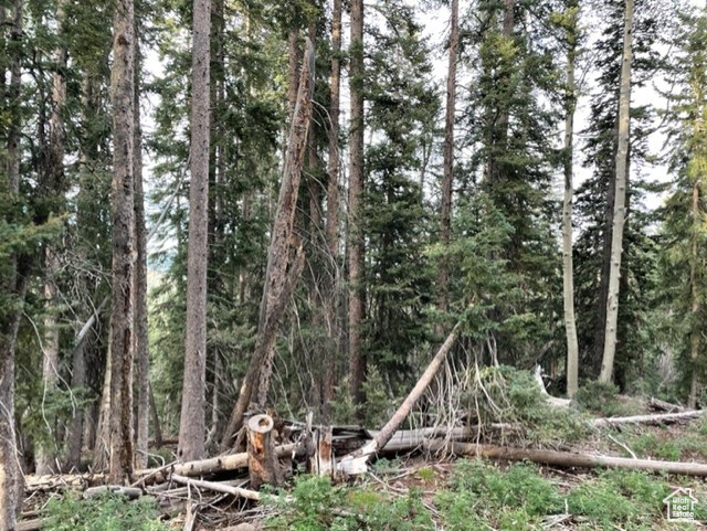 View of wooded area