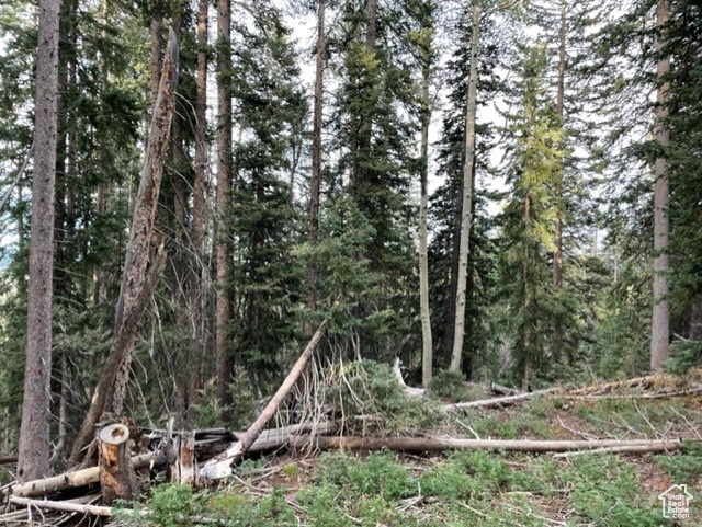 View of wooded area