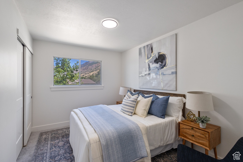 Carpeted bedroom with a closet and baseboards