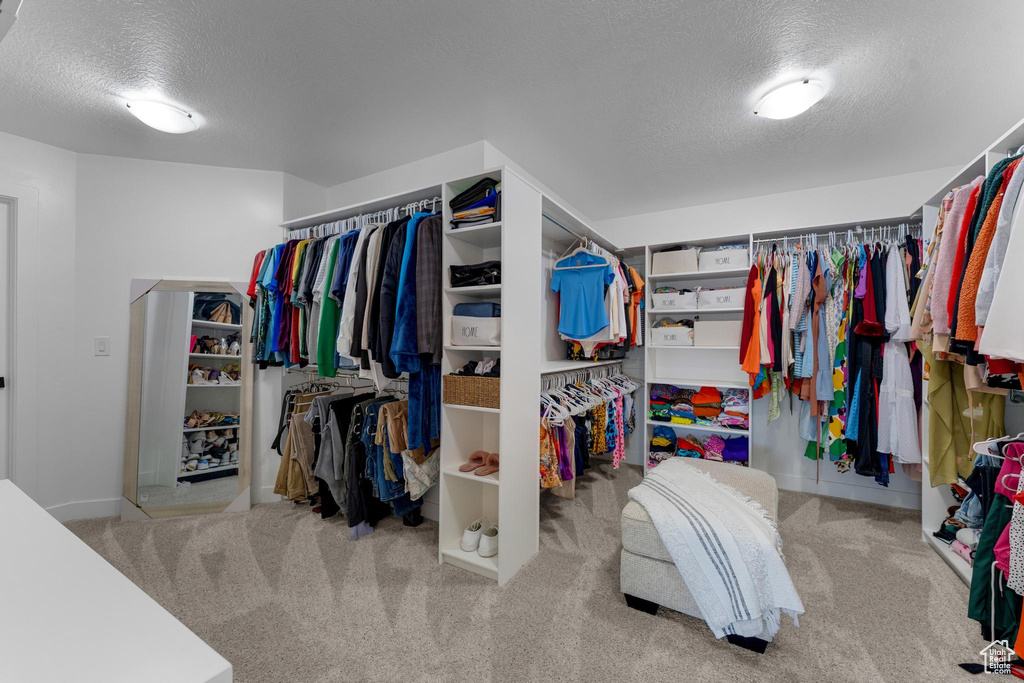 Spacious closet featuring carpet floors