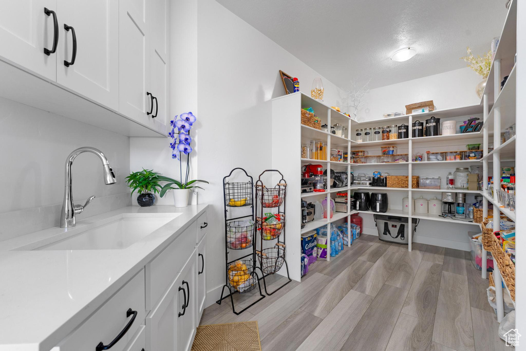 Pantry with a sink