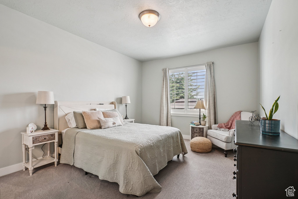 Bedroom with carpet flooring and a textured ceiling