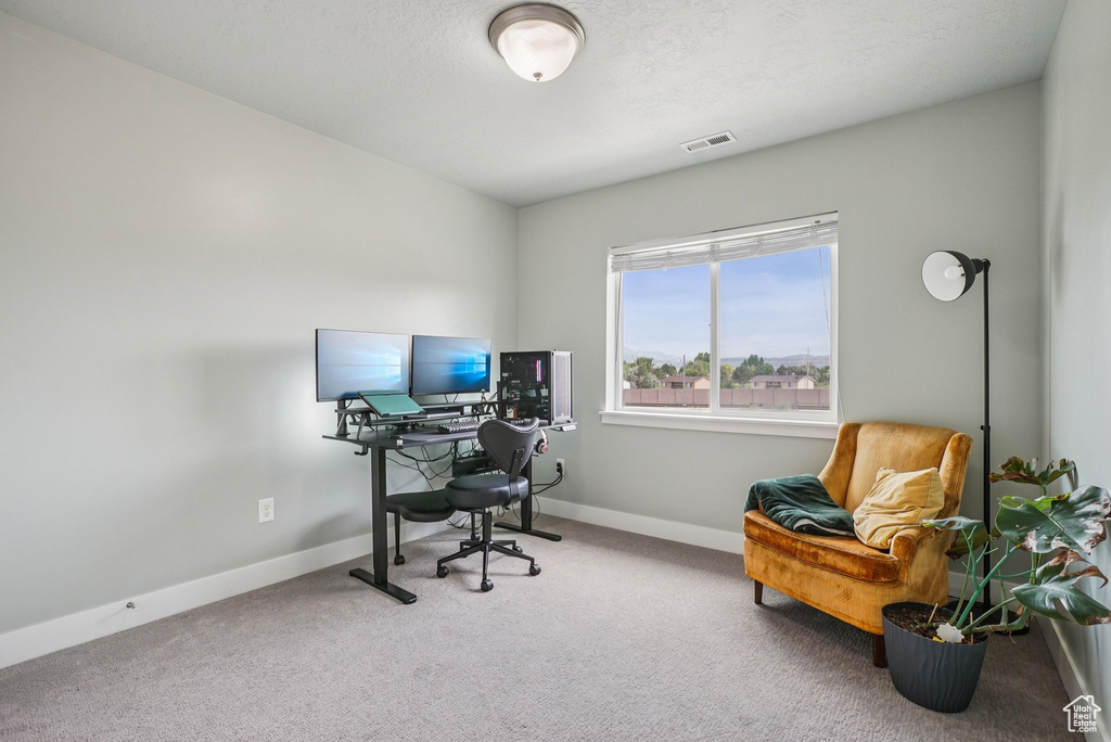 Carpeted home office with baseboards