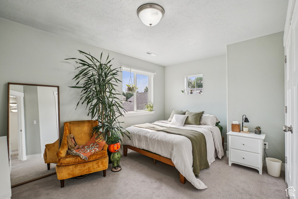 Carpeted bedroom with a textured ceiling