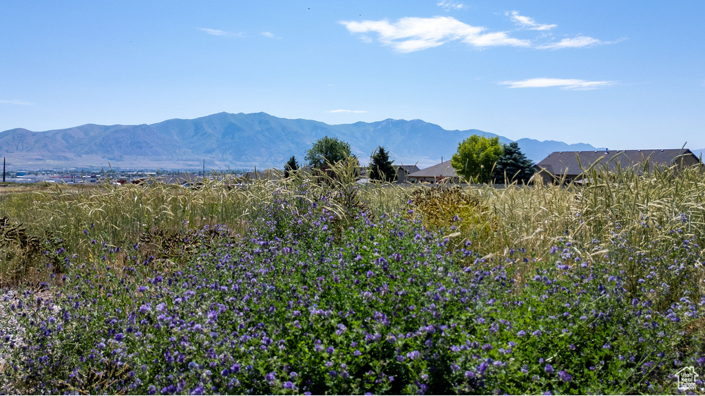View of mountain backdrop