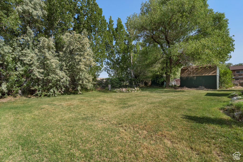 View of grassy yard
