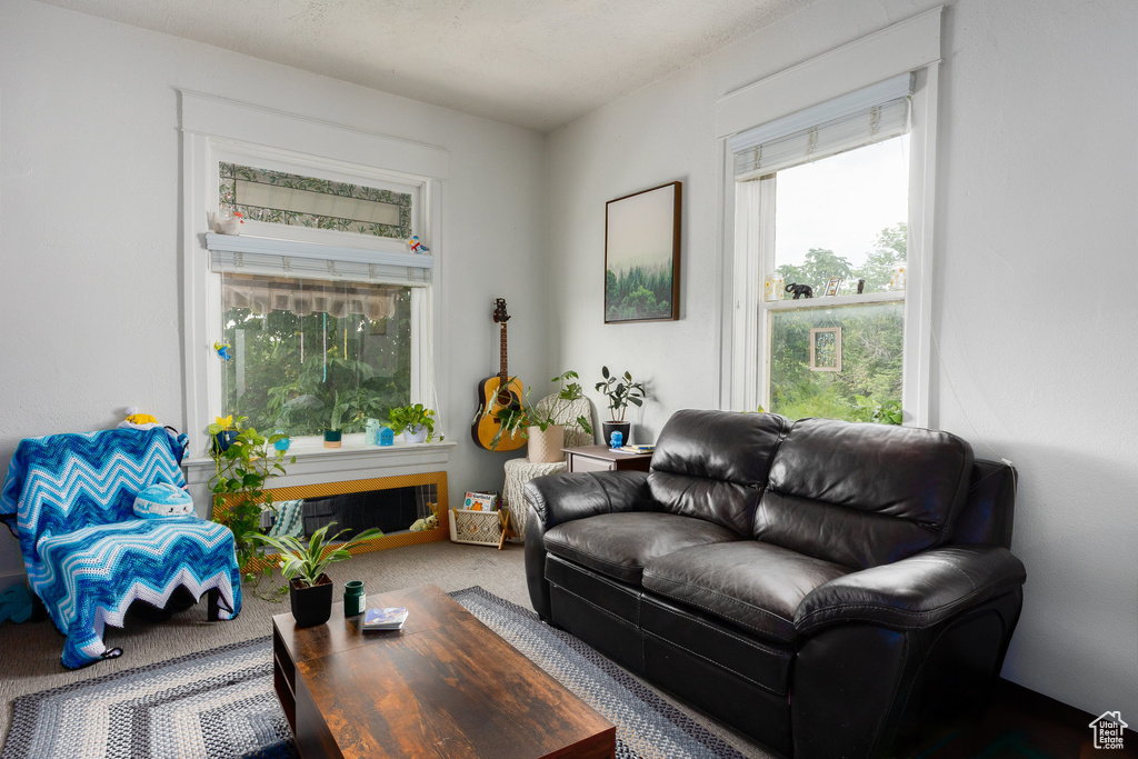 View of carpeted living area