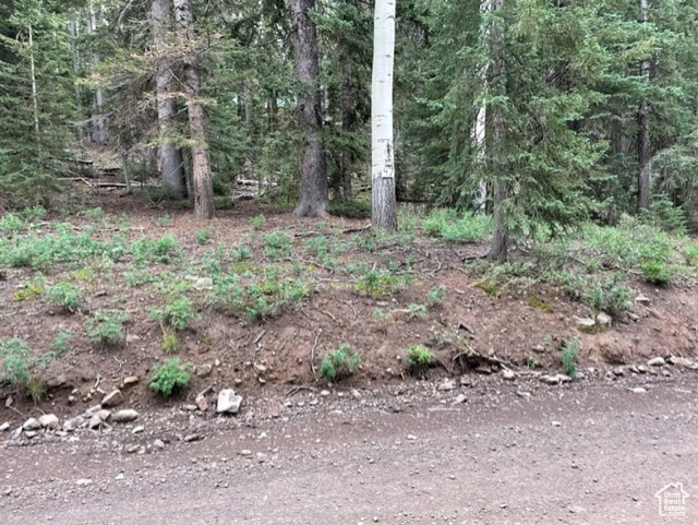 View of woods