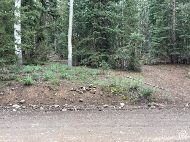 View of tree filled area