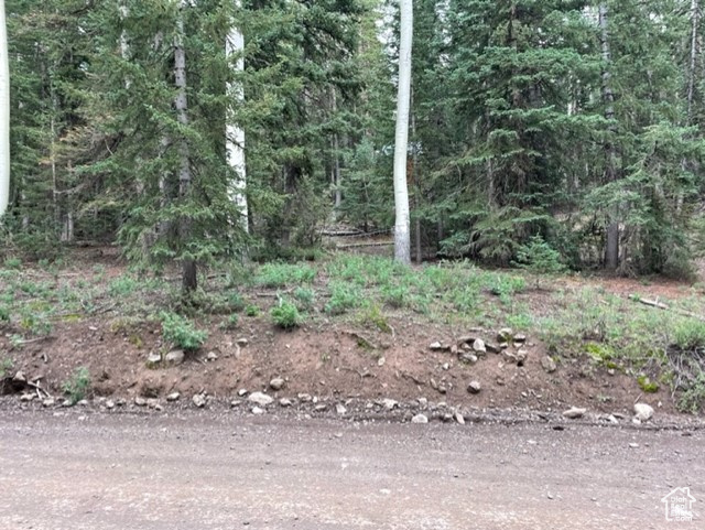 View of woods