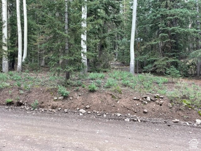 View of nature