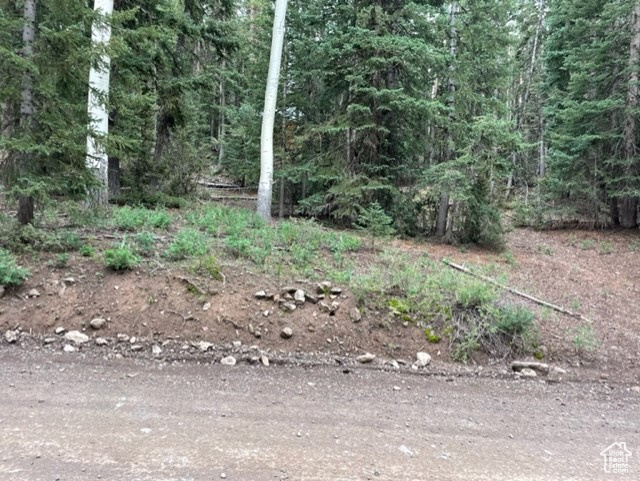 View of undeveloped land