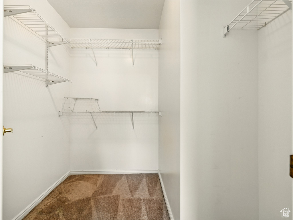 Walk in closet featuring carpet