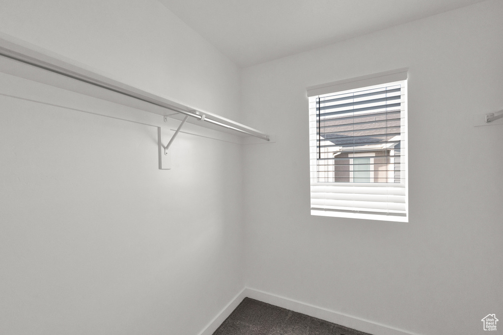Spacious closet featuring dark colored carpet
