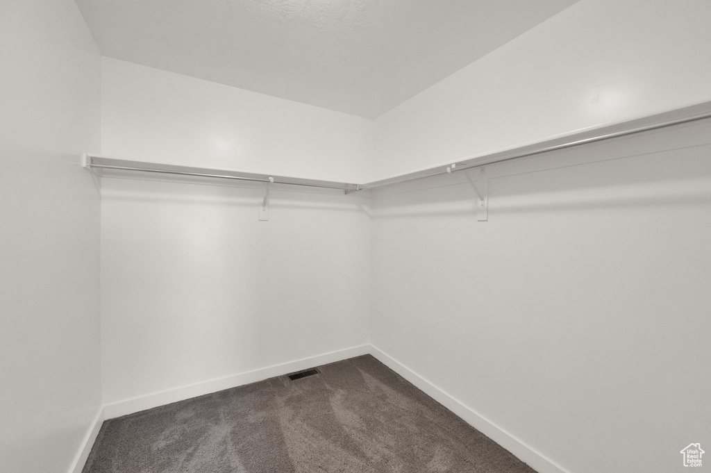 Spacious closet featuring dark colored carpet