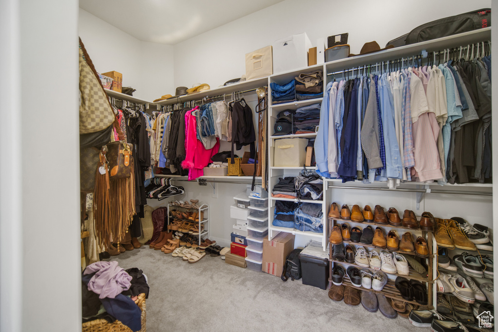 Walk in closet with carpet floors