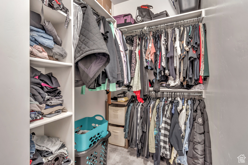 Walk in closet featuring carpet floors