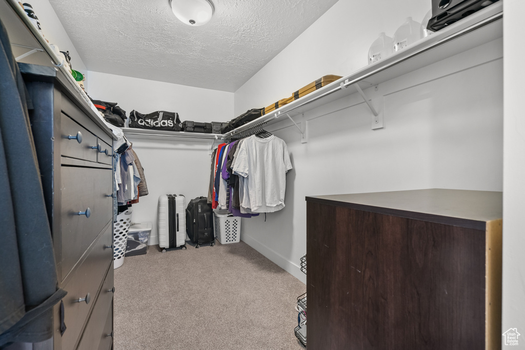 Walk in closet featuring carpet